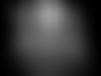 Forest of evergreen trees with their extensive root system shown underground.