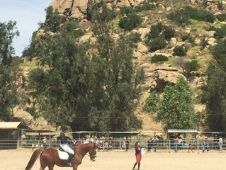 Chatsworth Day of the Horse Dressage Demo