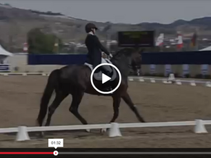 Members Shine at the Capistrano International CDI-W