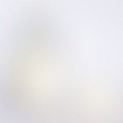 5 Healthy Alternative Of Sugar (Helps to loose weight like crazy!!)