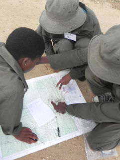 Big game trackers looking at map
