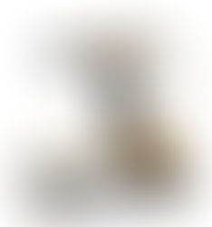 Stock pickers classed as MEWPs in New Zealand