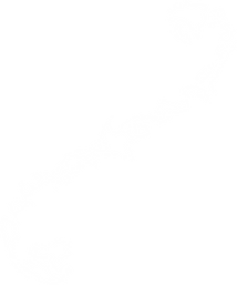 White Image (clear background).png