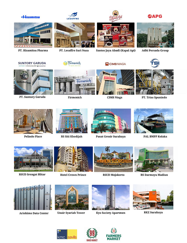 Project 2_edited.jpg