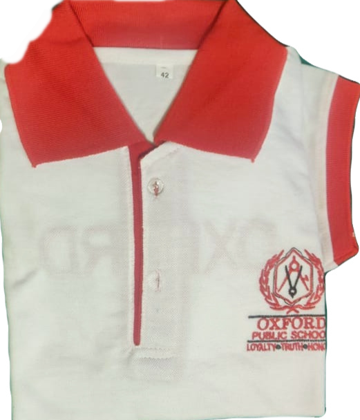 Thumbnail: Oxford Public School sport house T-shirt