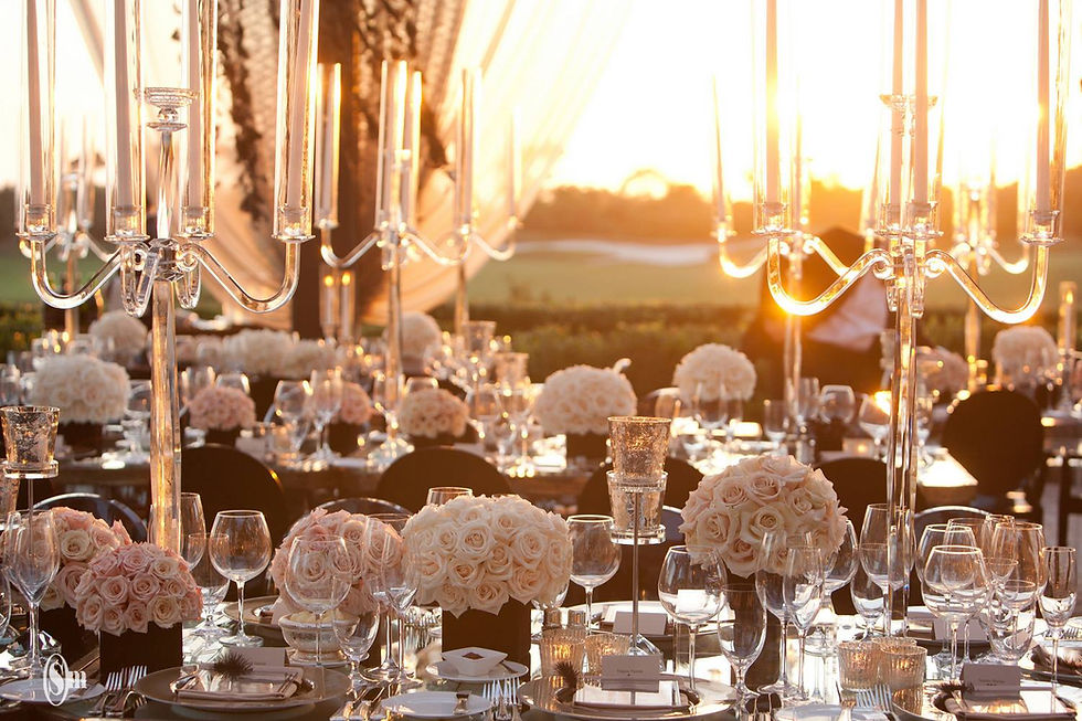 14361206_307610919612893_3440938054154808780_o