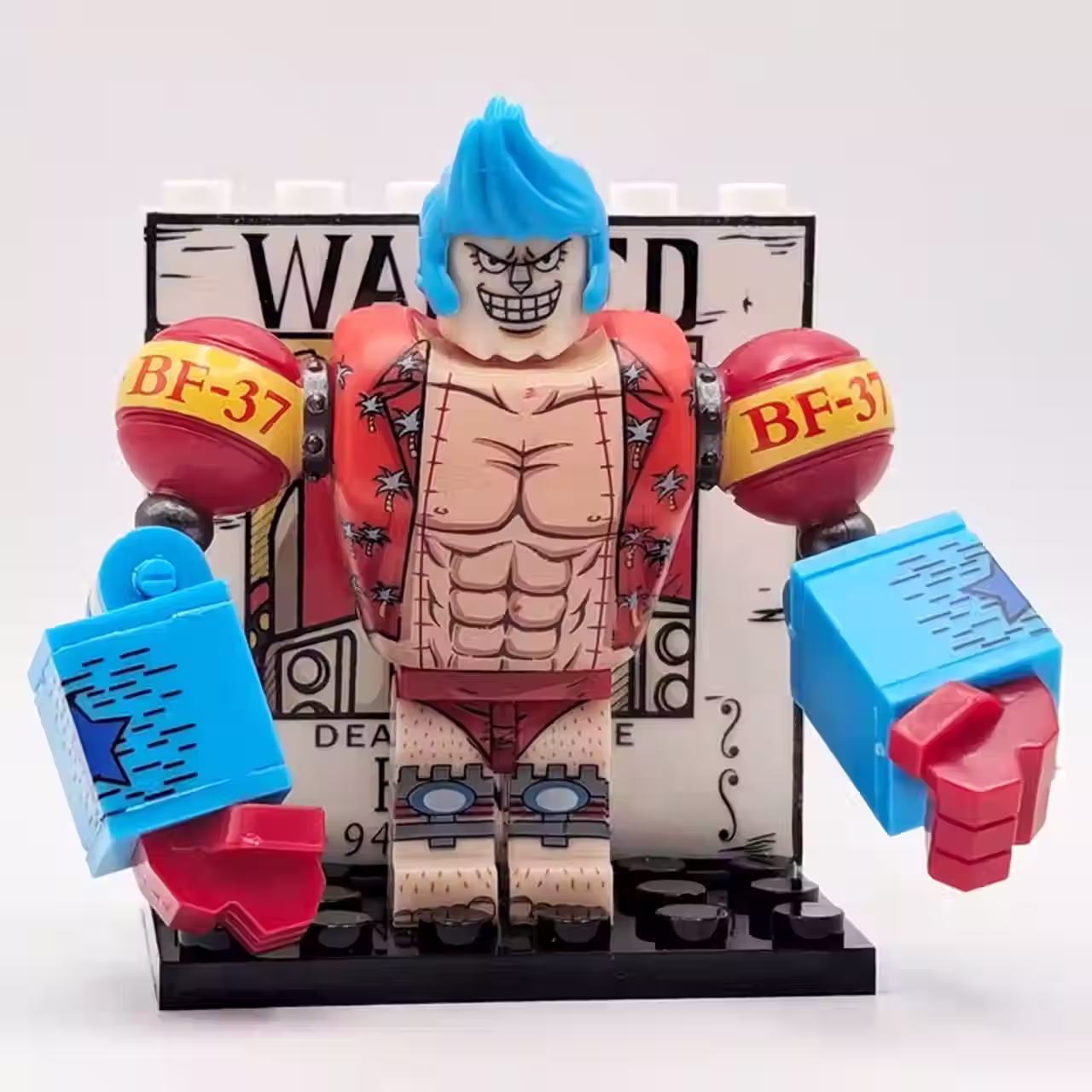 Franky (Post Time Skip)
