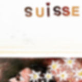 suisse.jpeg