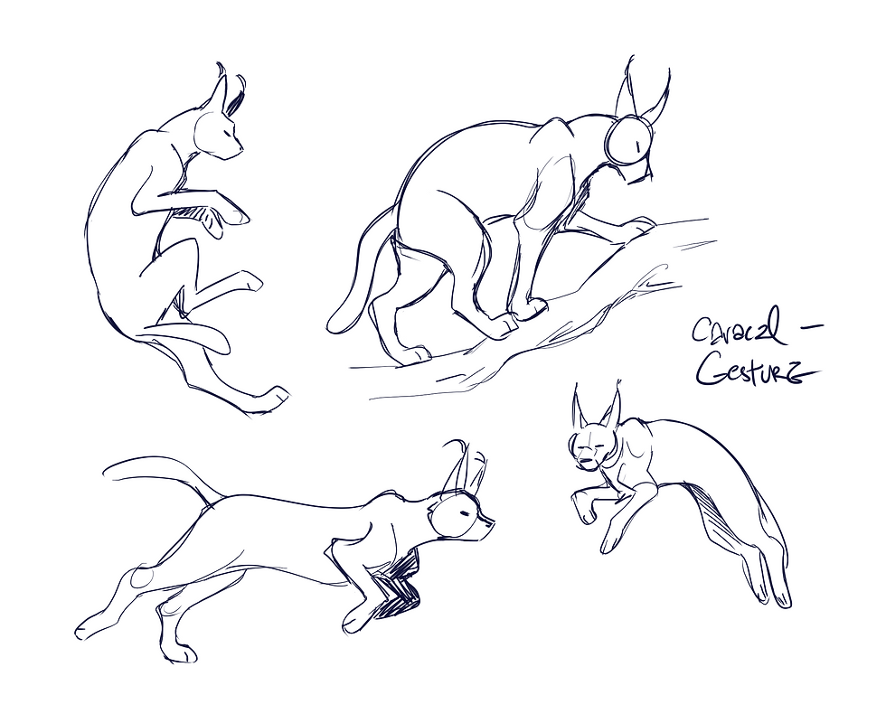 AN220_study_project4_feline_CARACAL_p4_gestures_2025_1031