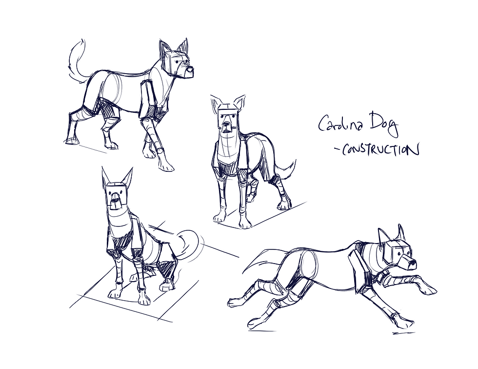 AN220_study_project2_canine_CAROLINA_DOG_p3_construction_2025_0920