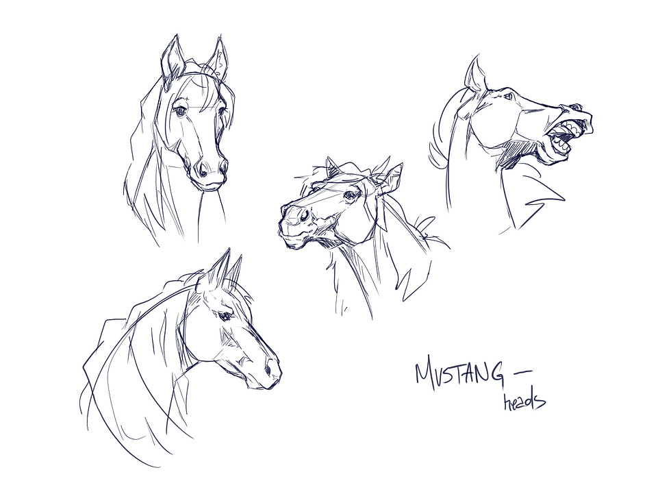 AN220_study_project1_equine_MUSTANG_p2_heads_2025_0831