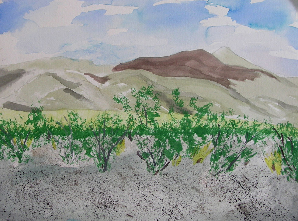 Watercolor Desert Landscape | Collins Walker Art