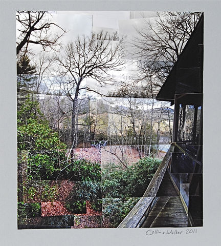 Trees from cabin porch | Collins Walker Art
