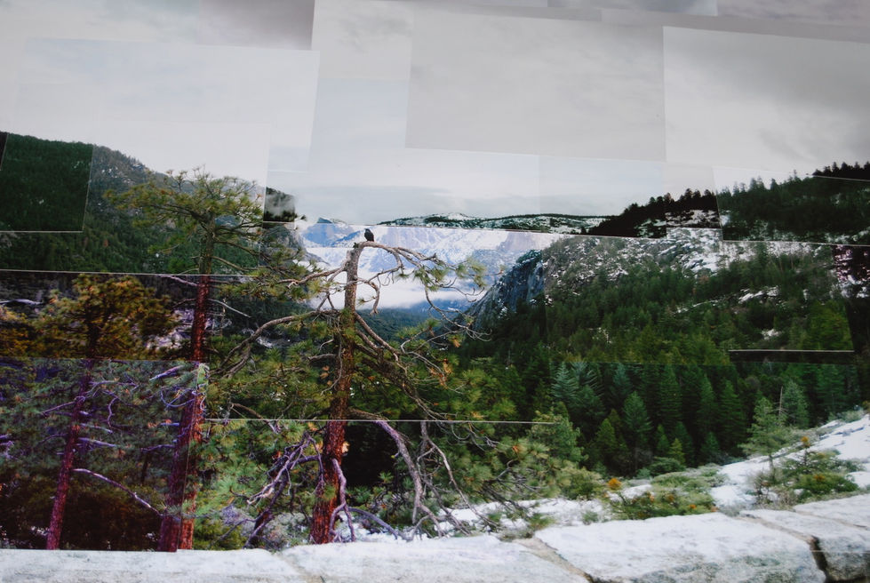 Overlook from Yosemite Nation Park | Collins Walker Art