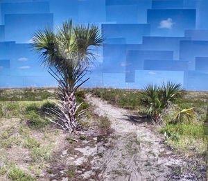 Tybee Island | Georgia