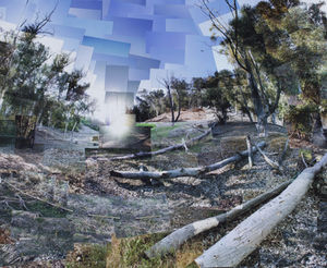 Balboa Park | Collins Walker Art