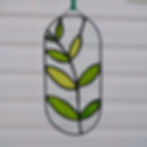 Thumbnail: Leafy fern - pill-shaped