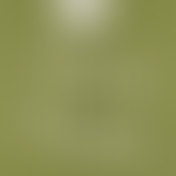 Don’t Let Your Green Disappear This Spring