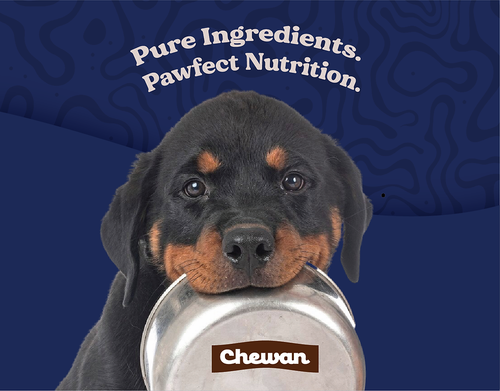 dogbowl-blue.png