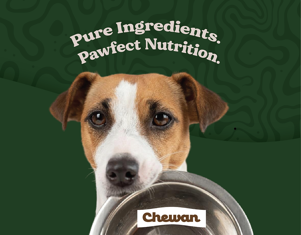 dogbowl-green.png
