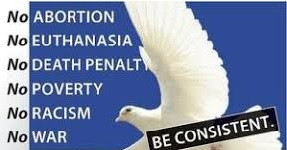 #446 Around the Web, Human Rights - February 1, 2019