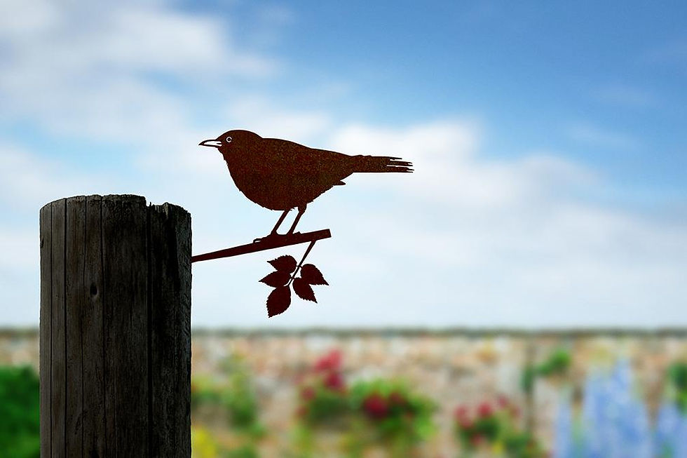 Metalbird Blackbird