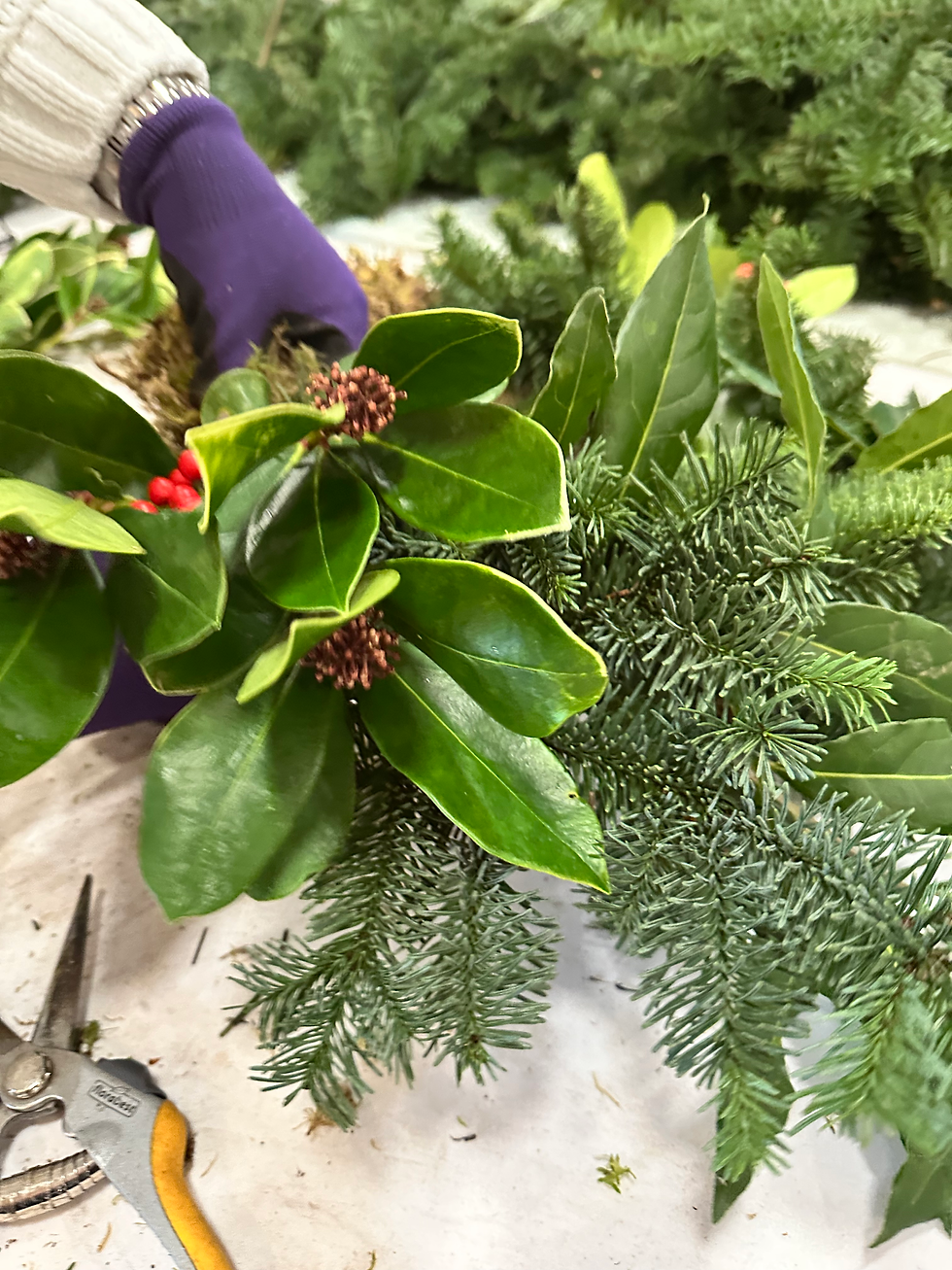 Festive Christmas Wreath