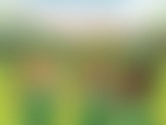 Mädelsfußball für 6 bis 9-jährige beim SV Veitshöchheim 