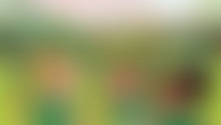 Mädelsfußball für 6 bis 9-jährige beim SV Veitshöchheim