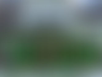 Veitshöchheimer Rosenmontagszug 2026