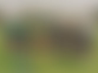 Frauen: SpVgg G. Fürth – SVV 2:3 (2:1)