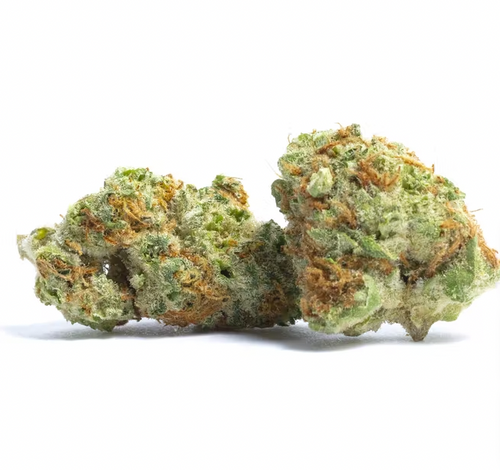 Island Sweet Skunk | ZIP DC