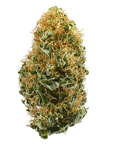 White Widow | ZIP DC