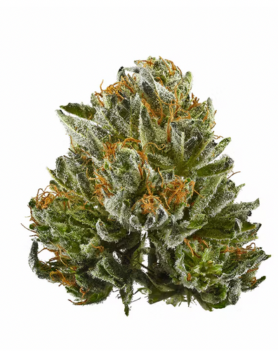 Bubba Kush | ZIP DC