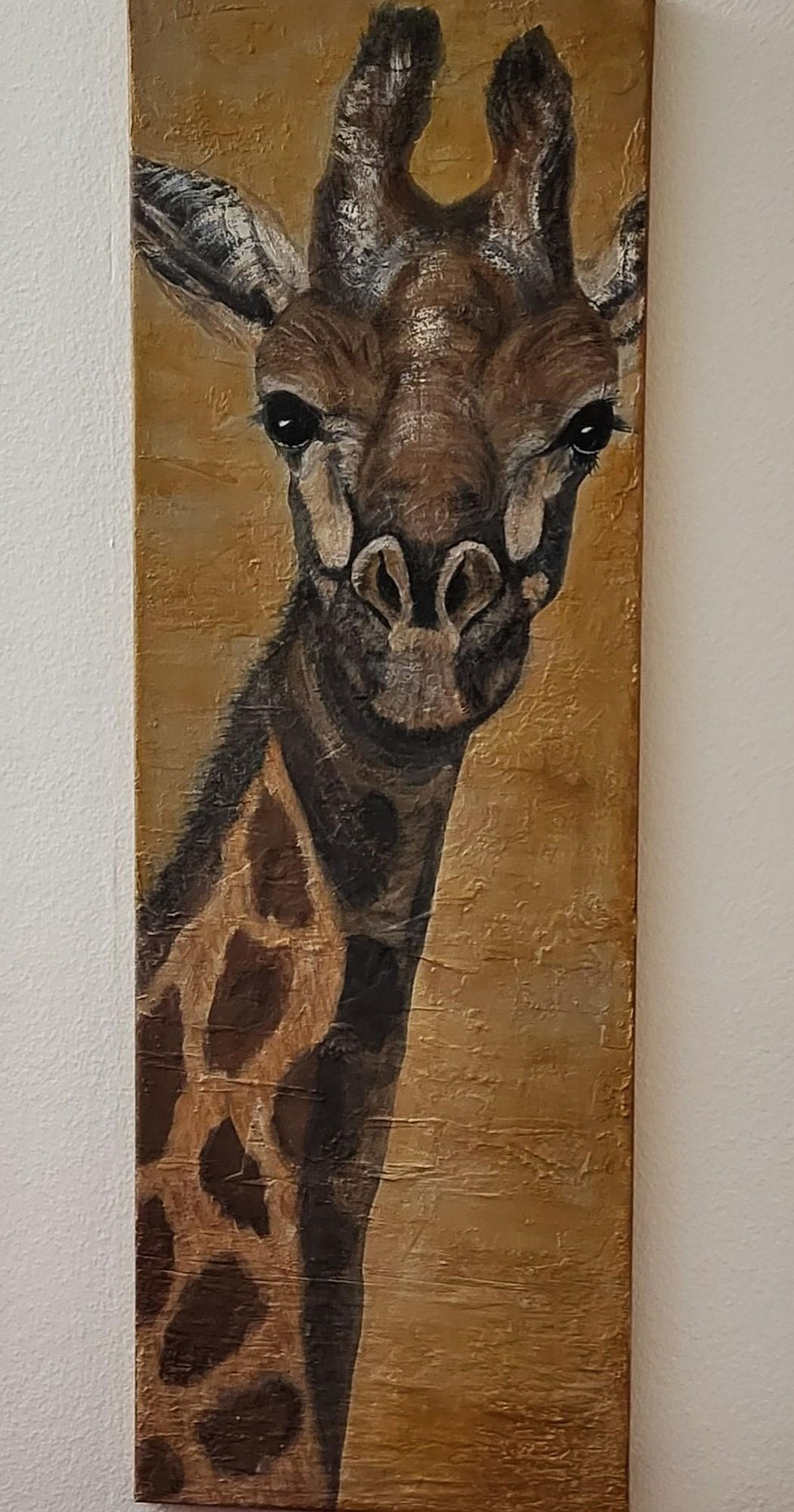 Miniaturbild: Bild-Giraffe