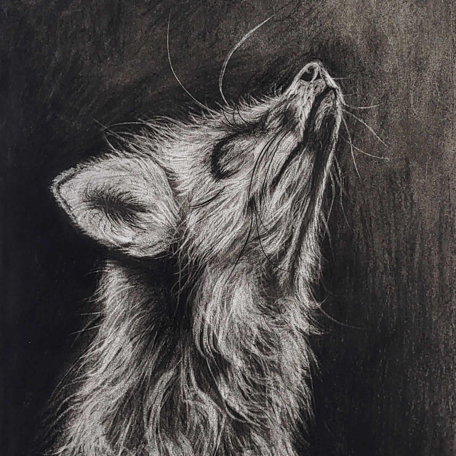 Fuchs – Frei & Wild – 34 × 44 cm