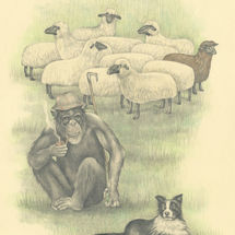 Francois Xavier Lalanne. Sheep