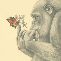 Hallucinogenic Mushrooms