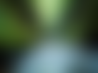 Top Guided Canyoning Tours in Madeira: Your Ultimate Adventure Guide