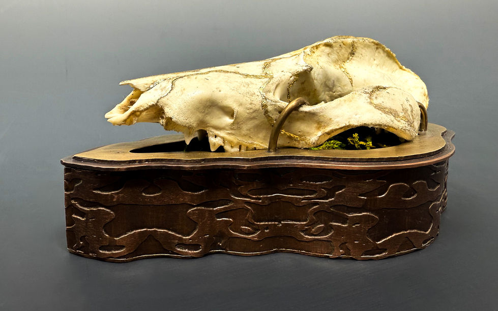 Pritchard_Adri_Image1Front