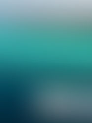 The Weekly Edit: All about the Maldives - Guaranteed happiness 