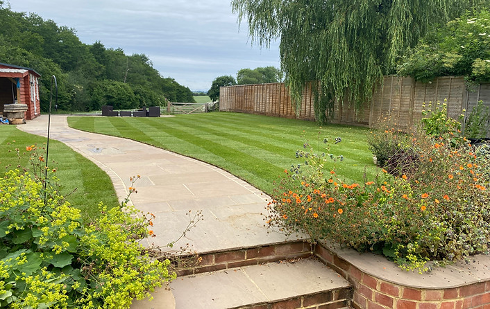 Lawn.jpg