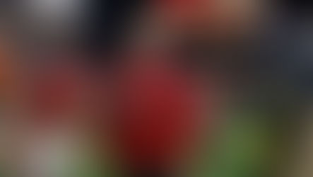 The Tennessee Titans Have A New Coach And Fans Should Be Relieved