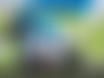 The Tennesee Titans: Looking Towards The Offseason