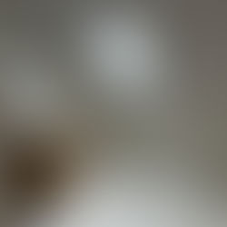 My Favorite White Paints (and why I love them)