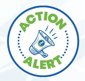 Image 8-7-25 at 10.06 AM.jpeg