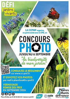 Capture d’écran 2026-07-23 172510.jpeg