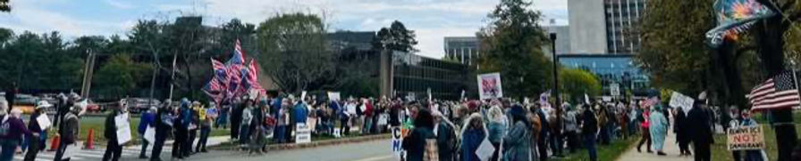 Bearing Witness Facebook Photo_edited.jpg