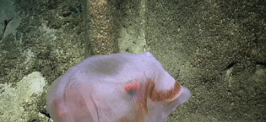 ezgif-6-9e8ec30d8b2e.gif