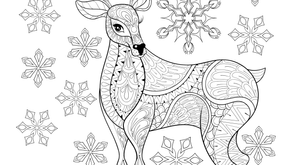 Winter Colouring Contest